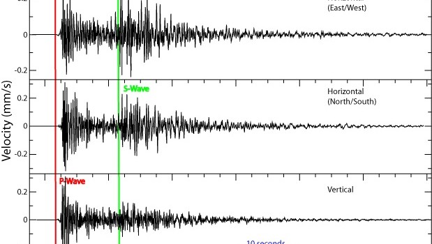 Seismogram bianco