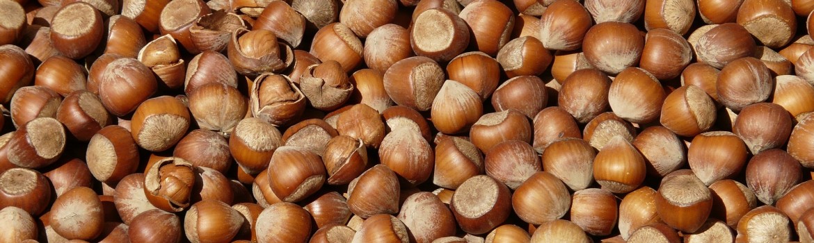 hazelnuts-73939_1920