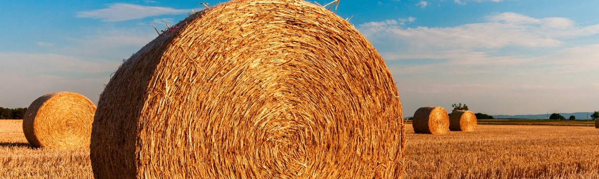 straw-bales-726976_1920